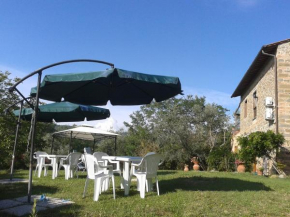 Отель Le Mimose B&B  Винчи